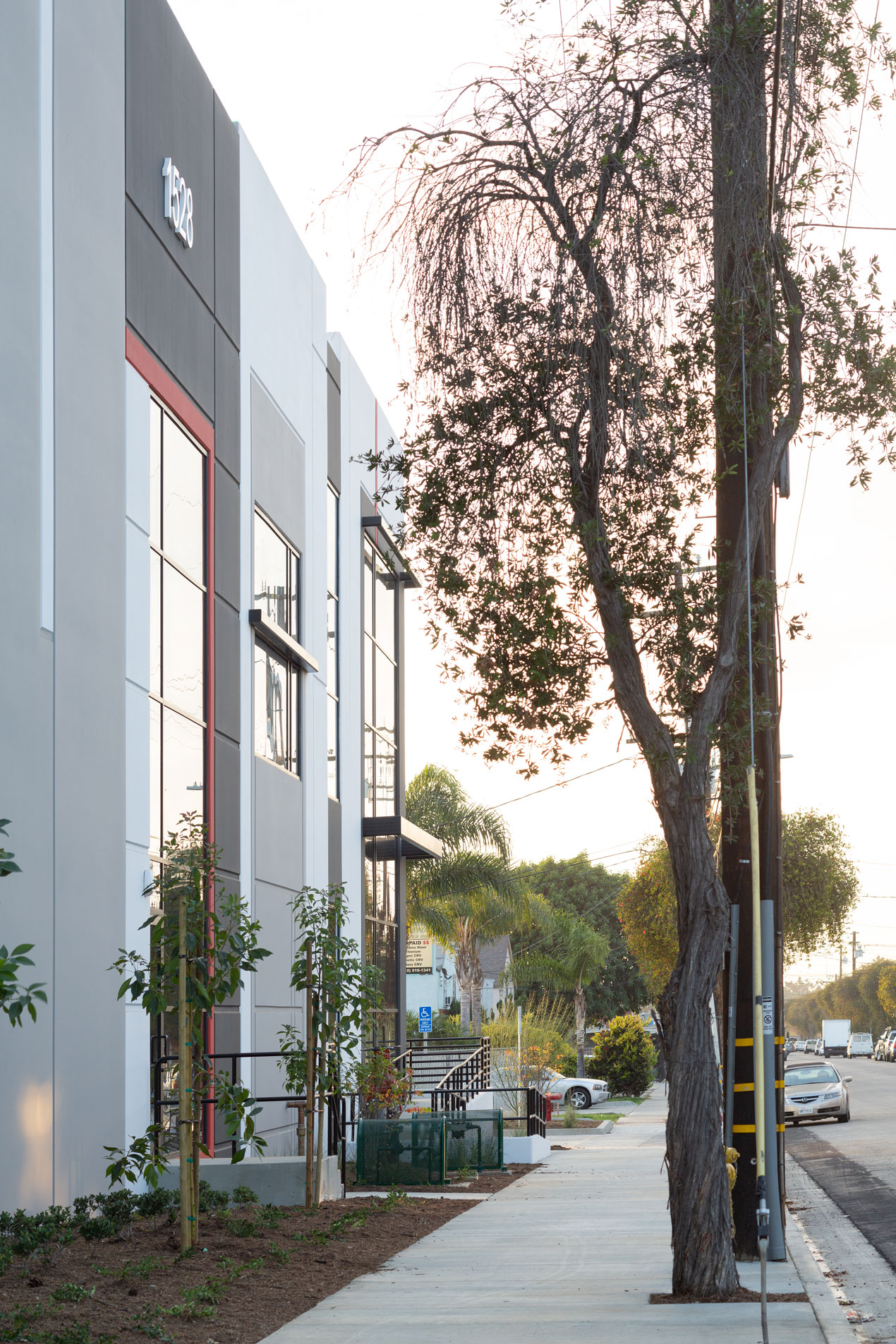 Project 9 Gardena 7